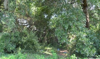 1819 Greene St, Beaufort, SC 29902