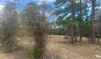 K-57 Hwy 94, Apple Springs, TX 75926