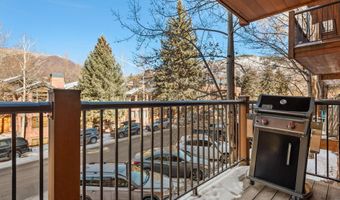 205 E Durant Ave Unit 1G, Aspen, CO 81611