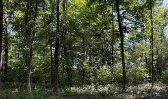 Lakeshore Drive lot 3, Bainbridge, GA 39819
