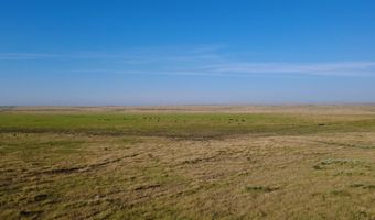 Oldham County Grass +/- 1 478, Adrian, TX 79001