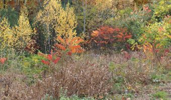 3 Beechwoods Dr Lot 3, Bartlett, NH 03845