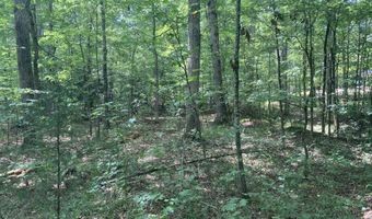 Lot 1069 Iron Gate Drive, Baneberry, TN 37890