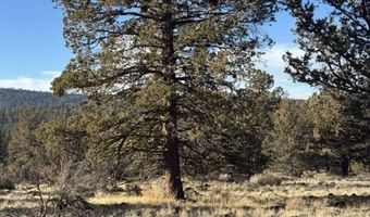 Canvasback Drive, Bonanza, OR 97623
