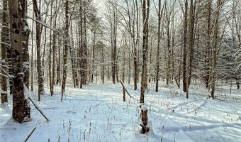 00 Fawn Lake Rd, Addison, NY 14801