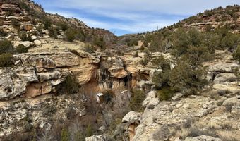 TBD X4 Road, Bedrock, CO 81411