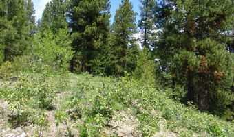 28 Rehn Loop Lot 2, Cascade, ID 83611