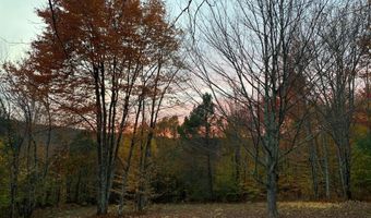 L21.1 Alder Pond Road, Andes, NY 13740