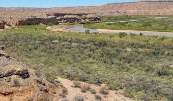 4755 Gold Butte Rd, Bunkerville, NV 89007