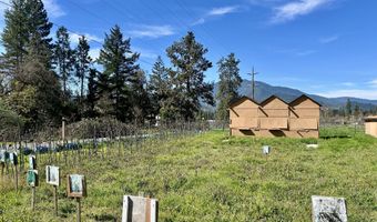 13990 N Applegate Rd, Applegate, OR 97530
