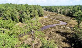 158 Fisher Turnpike Rd Lot 3, Arapahoe, NC 28510