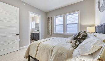 14119 Blue Stem St, Broomfield, CO 80020