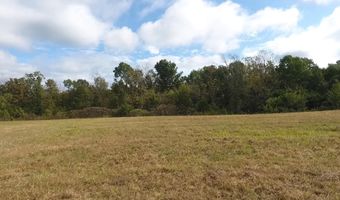 County Road 113, Alton, MO 65606