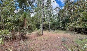 4850 NW 55th Ave, Bell, FL 32619