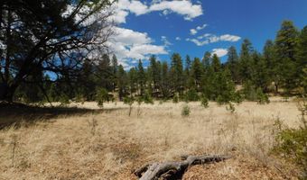 10 N2310, Alpine, AZ 85920