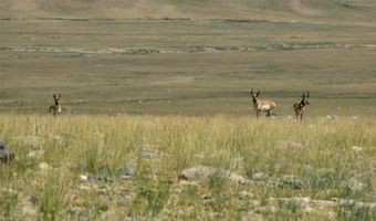 Rio Lane, Belfry, MT 59008