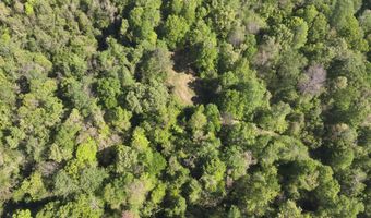 Anding Oil City Road, Bentonia, MS 39040