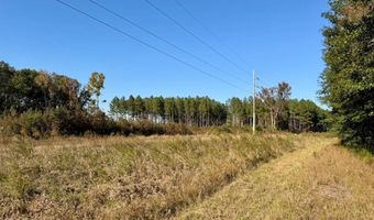 TBD Binnicker Bridge Road, Bamberg, SC 29003