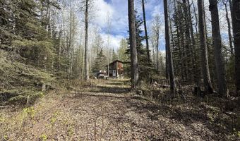 19396 N Fish Lake Rd, Chickaloon, AK 99674