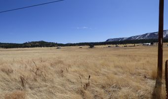 34 County Road 2100, Alpine, AZ 85920