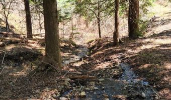 19856 B St Joe River Rd, Calder, ID 83808