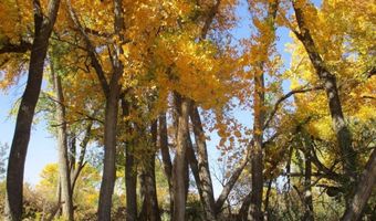 22 23 24 Private Drive 1617A, Abiquiu, NM 87510