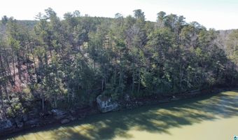 Lot 59 SIPSEY OVERLOOK DRIVE 59, Double Springs, AL 35553