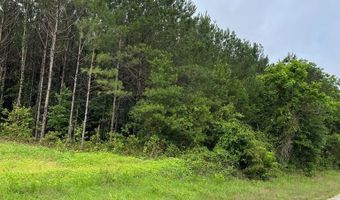parcel 1 county road 6629, Banks, AL 36005
