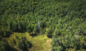 470 County Road 118, Annapolis, MO 63670