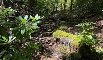 Tdb Cove Creek Rd, Bastian, VA 24314