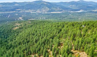 NNA USFS 2550 40 acres, Blanchard, ID 83804