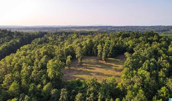 200 TABLEE LANE Lot 17.65, Ashland, AL 36251
