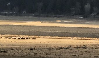 7724 Deep Creek Loop, Bonners Ferry, ID 83805