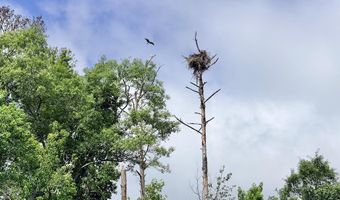 0- A County Road 97, Abbeville, AL 36310