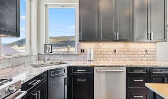 255 FLANNIGAN Cir, Alma, CO 80420