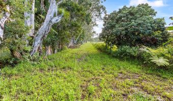 29-613 CHIN CHUCK Rd, Hakalau, HI 96710