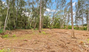 Parcel 49 Alapio Road, Haleiwa, HI 96712
