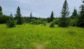 Xxx Heino Road, Angora, MN 55703