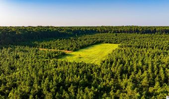 CARPENTER ROAD, Bastrop, LA 71220