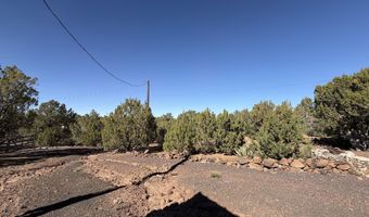 4 Pinon, Concho, AZ 85924