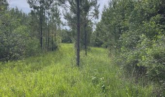 0 Highway 31, Bay Minette, AL 36507