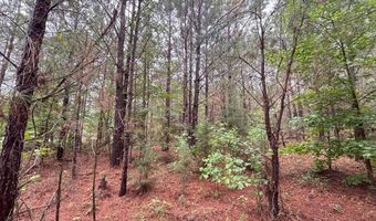0 Pebble Cove Rd, Abbeville, AL 36310