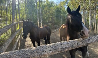 775 N 4700 E, Ashton, ID 83420