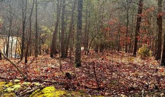 KING Street, Basye, VA 22810