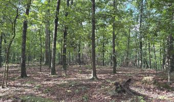 26 33 ACRES HICKORY CORNER Rd, Augusta, WV 26704