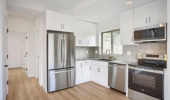 145 Spruce St, Alma, CO 80420