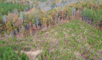 RIDGE RD lot 1, Arvonia, VA 23004