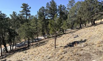 Bobcat Trail lot T43c, Alto, NM 88312