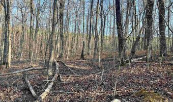 0009 SPRINGHOLLOW Rd Lot 9, Ashville, AL 35953
