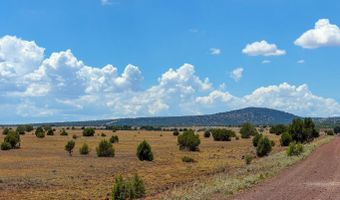 215 Gleed Station Rd Lot B 10 Acre, Ash Fork, AZ 86320